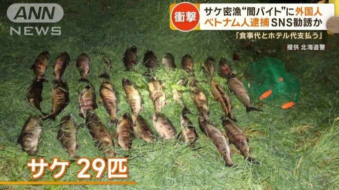 北海道特産品・サケ