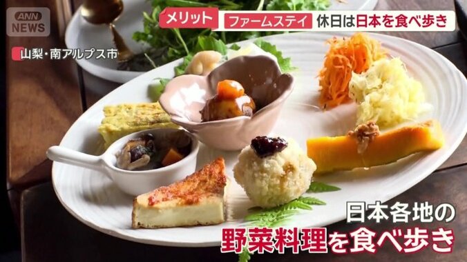 日本の野菜に興味津々の2人