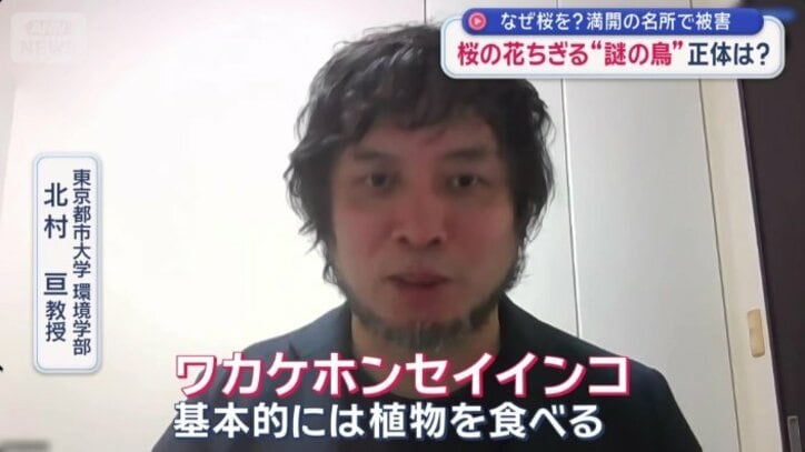 目的は、花の根元にある蜜