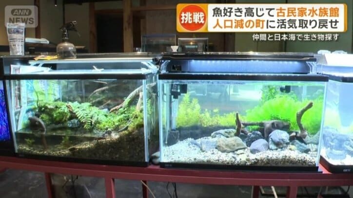 水族館の売りの一つがコンパクトさ