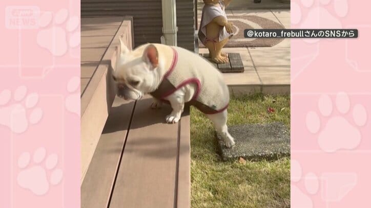 後ろ足を石にのせて…