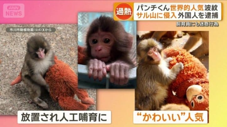 世界的に話題となったパンチくん