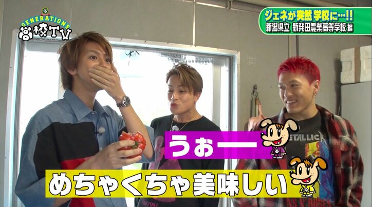 白濱亜嵐、高校生が栽培したトマトで苦手克服に挑戦　悶絶しながら「おいひぃ〜」