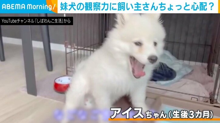 【写真・画像】　2枚目