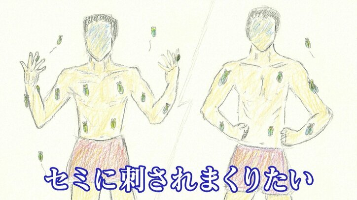 探偵！ナイトスクープ