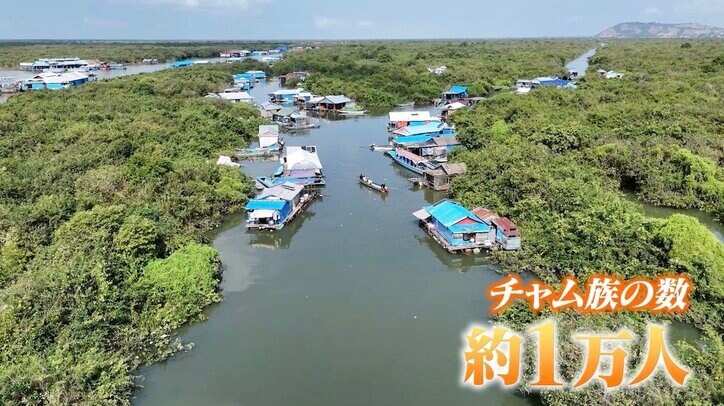 【写真・画像】「夜の営みはどこでする？」あのちゃん、大家族の夫婦への下品な質問に驚愕　2枚目