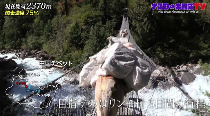 標高2280メートルでテント泊…ナスD、過酷な環境でもスタッフに感謝