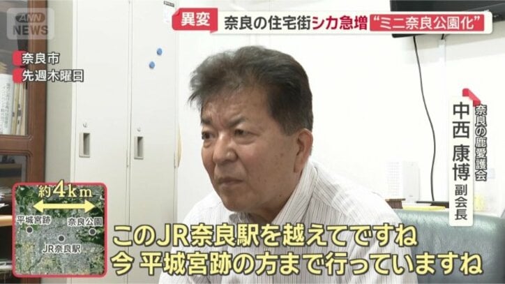 奈良の鹿愛護会　中西康博副会長