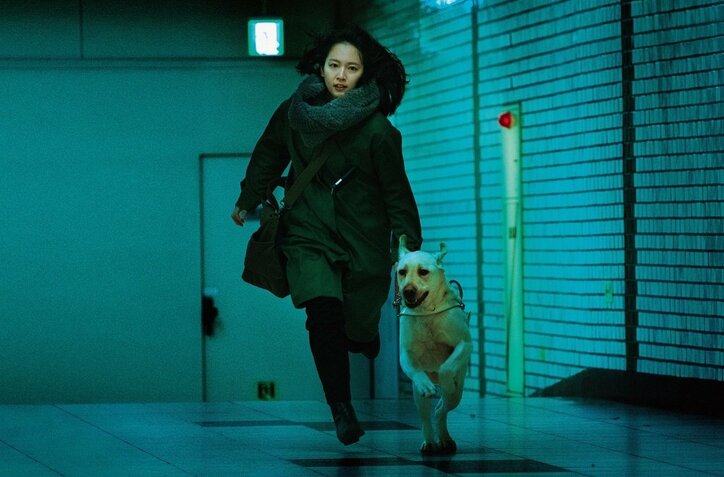 吉岡里帆、『見えない目撃者』で新境地 “バディ”高杉真宙語る印象に「うれしいですね」