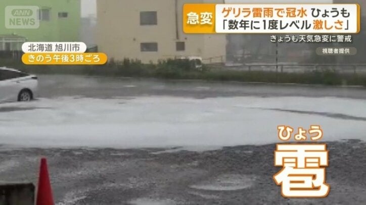 地面にはひょう