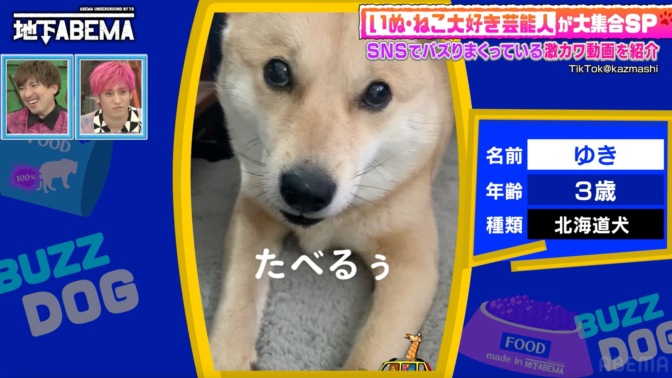 わんこ「食べるぅ」ごはんのおねだりをする北海道犬のおしゃべりに衝撃「言ってる」「すごい」(ABEMA TIMES) - goo ニュース