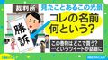 裁判所でよく見る「勝訴」などの巻物、意外な呼び名が判明!