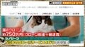 「1匹750万円」ペットのクローンを作れるサービスを運営する中国企業「見た目は区別つかない」日本代理店も設立