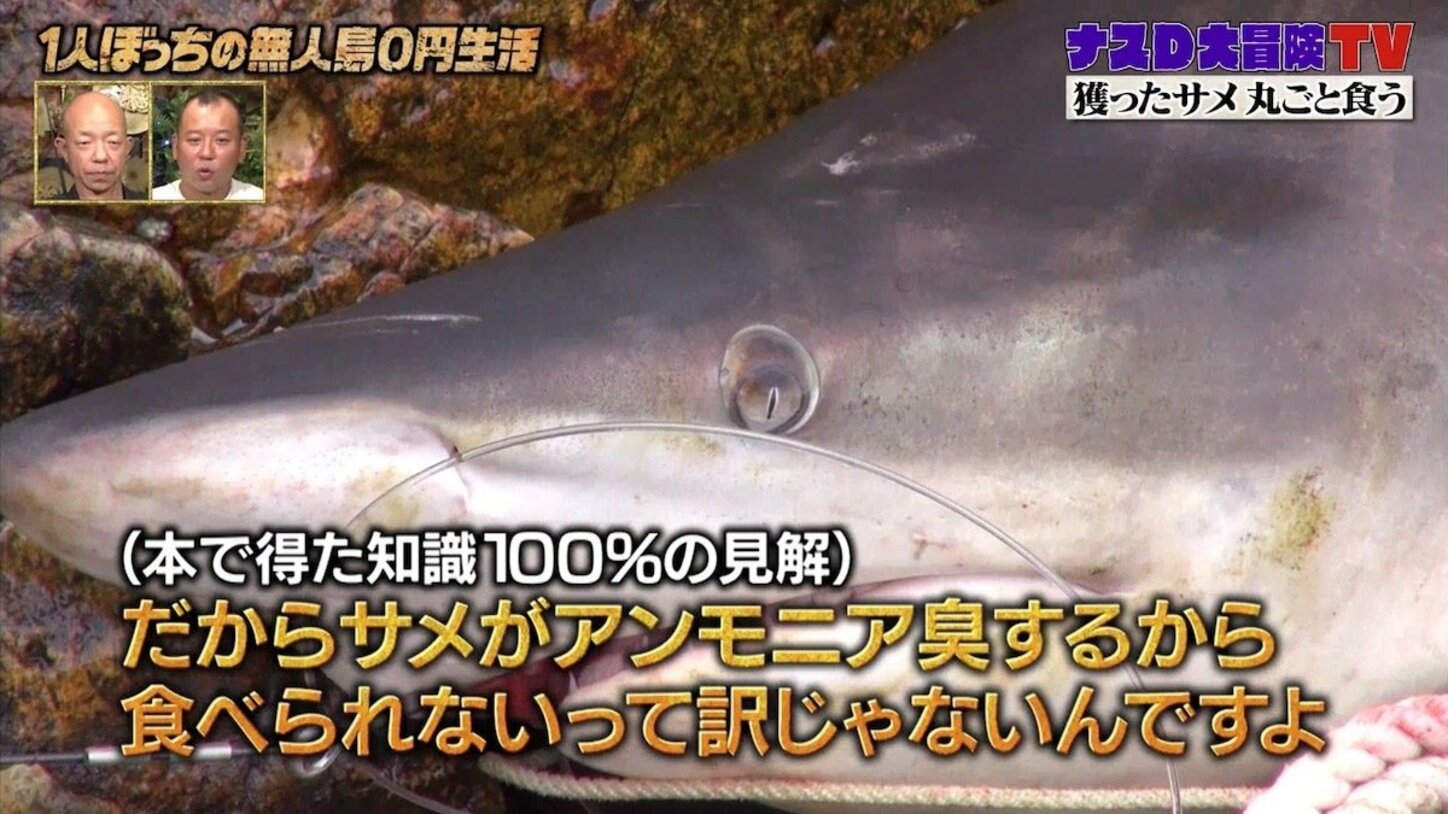 ナスD、サメの「不老不死」理論を提唱! 独自の見解に現場スタッフの反応は | バラエティ | ABEMA TIMES