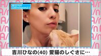 吉川ひなの 愛猫のしぐさに...