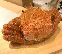 藤あや子『昨日のディナー』