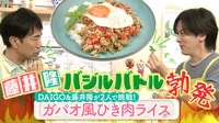 ゲストは藤井隆さん！ガパオ風ひき肉ライス - DAIGOも台所～きょうの献立 何にする？～