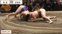 【映像】人気イケメン力士の髷が…ファン騒然