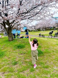 尾形あい『Cherry blossom』