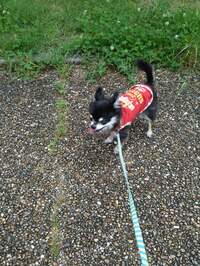 山田花子『午後から天気に！』