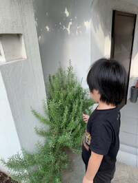 川崎希『”おばあちゃんが心配す”』