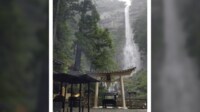 台風で雨↑「那智の滝」も水量↑豪快に!