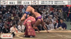 尊富士、110年ぶり新入幕Vに一歩前進！ ”ざんばらV“を目指す1敗の怪物・大の里との新世代対決を制して破竹の10連勝 賜杯へ独走態勢