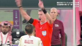 痛恨の失点が試合終了後にVARで取り消し チュニジア代表、歴史的勝利は異例中の異例の結末「ハリウッド映画かよ」「劇的すぎるぞ」