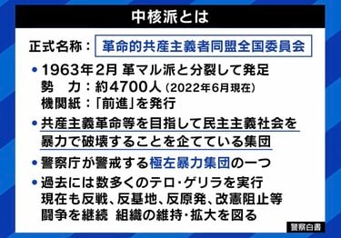 中核派全学連、初の女性トップ「共産党が右に寄っている」「巨大デモをもう一度作り出すことが課題」社会を変えるのに暴力は必要？ | 国内 | ABEMA  TIMES | アベマタイムズ