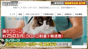 1匹750万円」ペットのクローンを作れるサービスを運営する中国企業