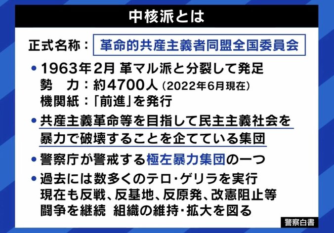 【写真・画像】中核派全学連、初の女性トップ「共産党が右に寄っている」「巨大デモをもう一度作り出すことが課題」社会を変えるのに暴力は必要？　2枚目