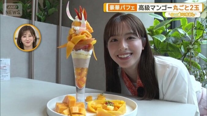 Mango Holic ～マンゴーに夢中～