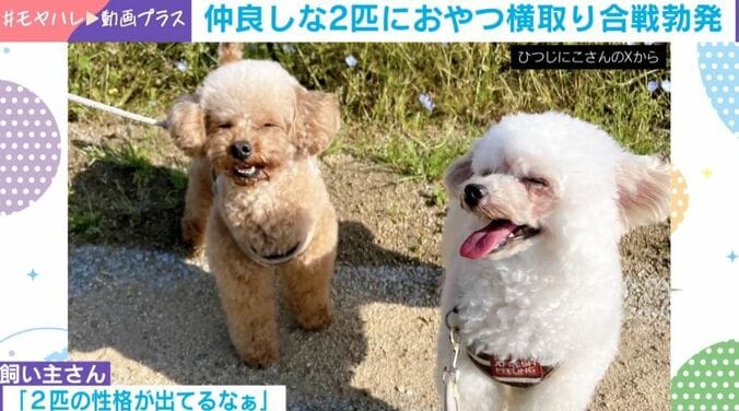 うたちゃんとにこちゃん