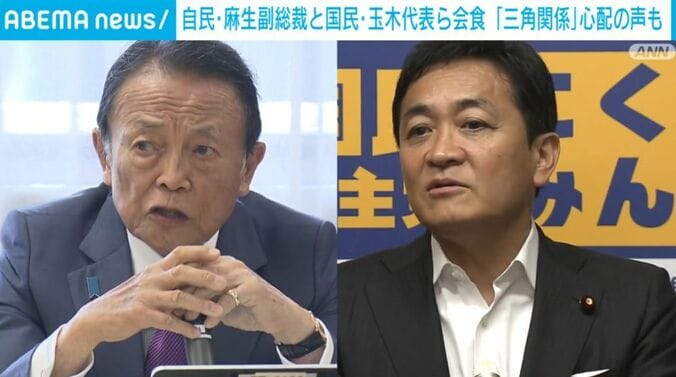 麻生副総裁と玉木代表