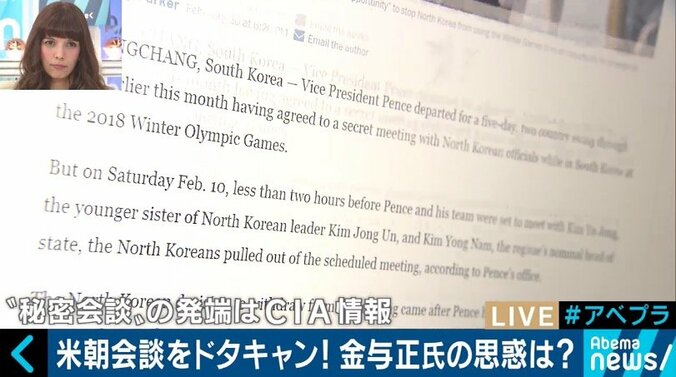 金与正氏が妊娠！あえて身重の妹を韓国に送った金正恩氏の思惑は？ 5枚目