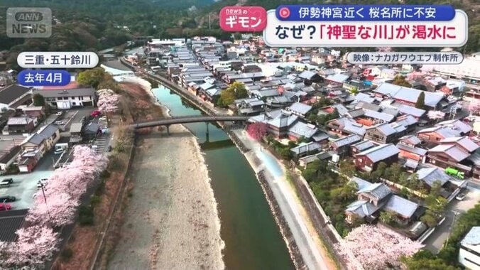 歴史ある町並みと桜並木