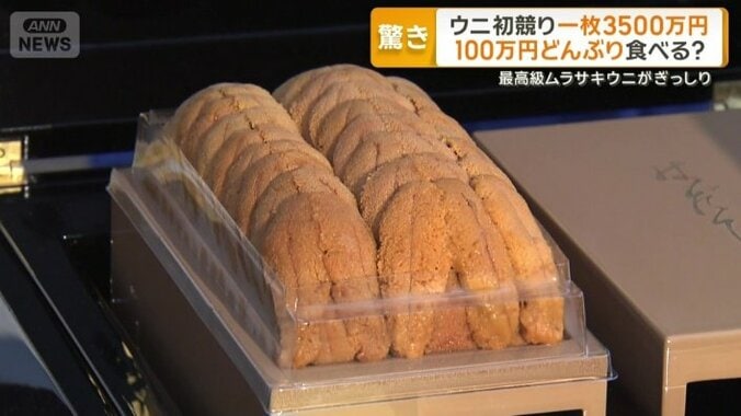 北海道産の最高級ムラサキウニ