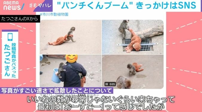 いいねが5万以上つくなど大バズりした投稿