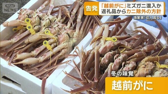 越前がに