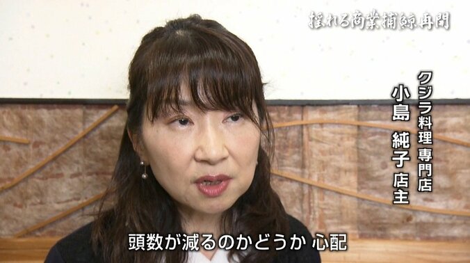 “航路は開けど、視界は不良”…商業捕鯨再開も、クジラの街・下関の関係者に残る不安 7枚目