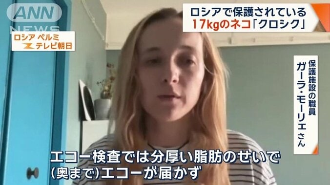 モーリェさん「まさか、ここまで大きなネコだとは思っていませんでした」