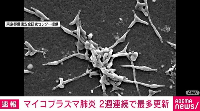 マイコプラズマ肺炎患者数  6週連続で増加