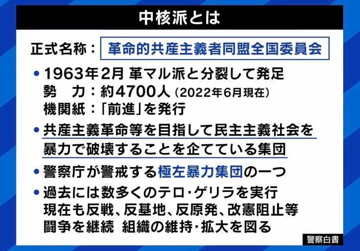 【写真・画像】中核派全学連、初の女性トップ「共産党が右に寄っている」「巨大デモをもう一度作り出すことが課題」社会を変えるのに暴力は必要？　2枚目