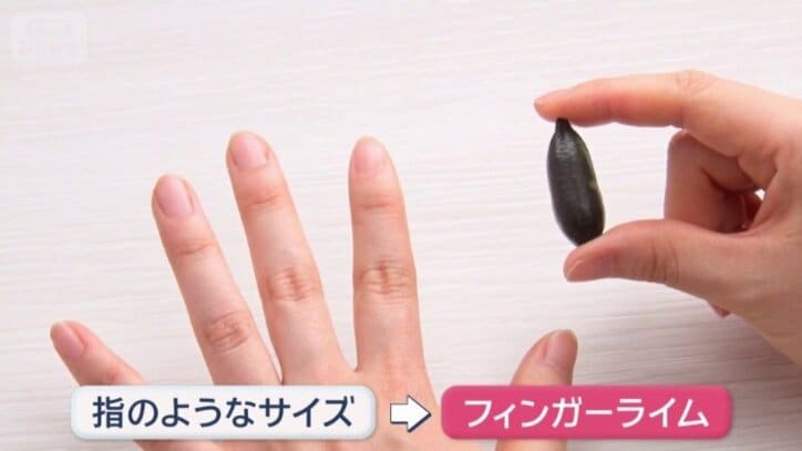 別名ライムキャビア