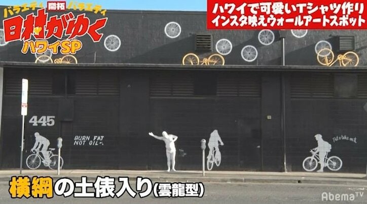 日村、ハワイのインスタ映えスポットでアート撮影　完成度の高さにスタッフも大爆笑「ナイスアート！」