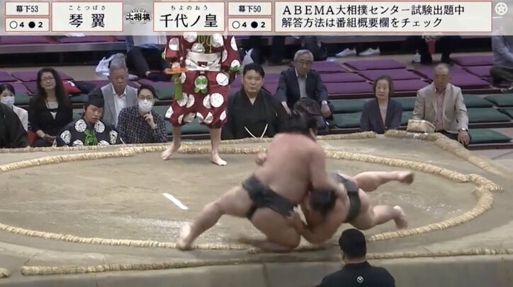 【写真・画像】土俵から落下し審判長と激突…迅速謝罪対応の力士が好感度ばつぐん「人柄が出てる」「即謝罪w」「良い人なんだろうな」　1枚目