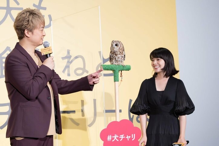 香取慎吾、ペット役のフクロウ・マルちゃんとは不仲だった!?「触っているの見たことない」相次ぐ暴露にタジタジ