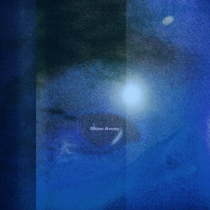 【写真・画像】　2枚目