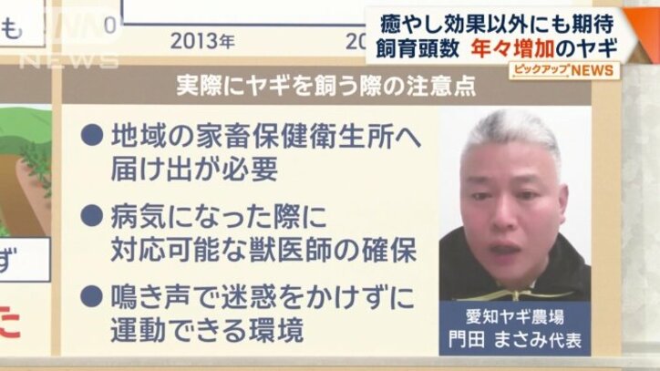 実際にヤギを飼う際の注意点