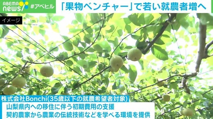 日本のフルーツが食べられなくなるかもしれない 果物農業の危機を救え!元アップル社員が革命を目指す